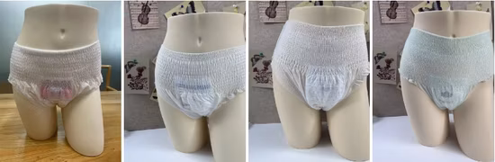 맞춤형 / Tayue Maxi / 슈퍼 여성 여성의 생리 일회용 안전 바지